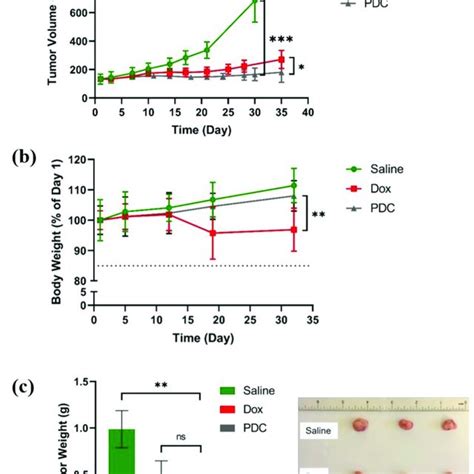 Effects Of Pdc On Tumor Growth Using A Mouse Model Of Tnbc Nod Scid