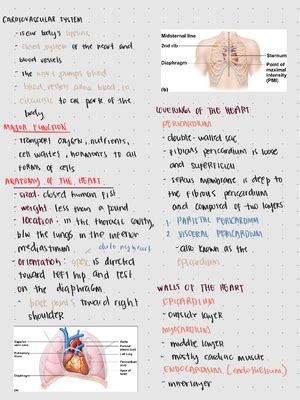 Physio Ex Exercise 11 Activity 3 Hemoglobin Determination 1 26 22 4