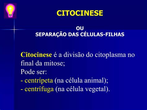 Aula 8 Ciclo Celular Mitose E Meiose PPT