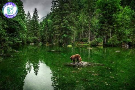 L Nh Nude Clip Sex Bu Ng Th N I Ti Ng V T En Cho T Ng Lai