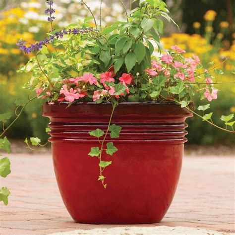 Large Decorative Flower Pots