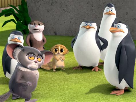 They Re Waiting For An Apology Julien XD Penguins Of Madagascar