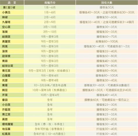 冬春之際適合種高麗菜、小白菜！常見蔬菜四季種植時間表，自家菜園新鮮上菜