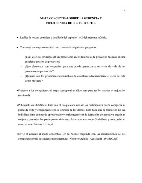 Mapa Conceptual Sobre La Gerencia Y Ciclo De Vida De Los Proyectos Pdf