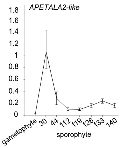 Frontiers Heterochronic Genes In Plant Evolution And Development