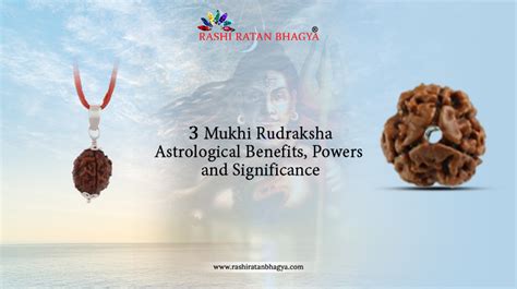 6 Mukhi Rudraksha Significance And Benefits