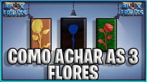 Blox Fruits Como Achar As Flores Para Ra A V Local Do Spawn Das