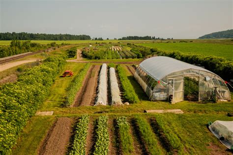 Nos coups de cœur gourmands dans Charlevoix Tastet