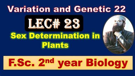 Biology Chapter 22 Lecture No 23 Sex Determinantion In Plants F Sc 2nd Year YouTube