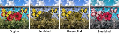 create accessible graphs  colorblind people  data