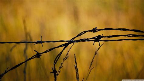 Barbed Wire Wallpapers Top Free Barbed Wire Backgrounds Wallpaperaccess