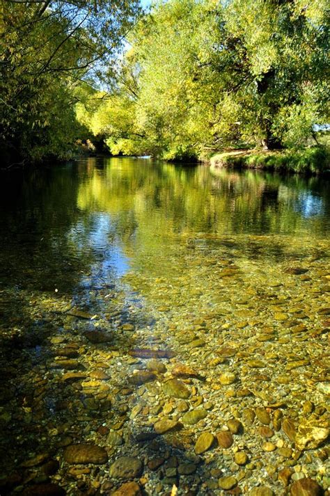 Mataura River2 stock photo. Image of water, spring, foliage - 15527424