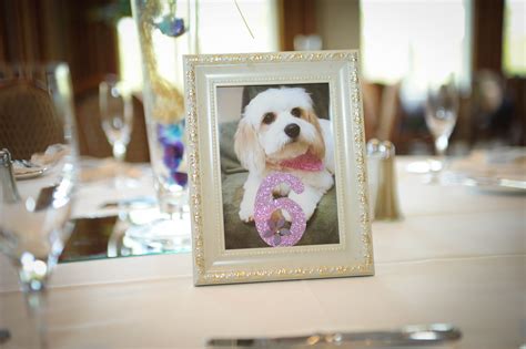 Table Numbers To Honor Our Dog Table Numbers Table Plans Frame