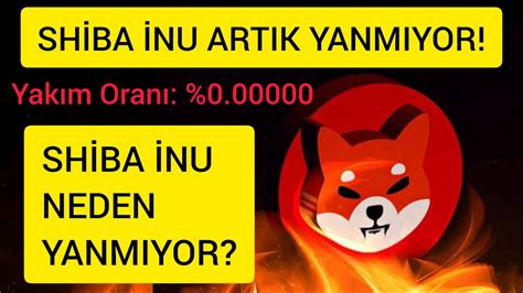 SHİBA COİN SON DAKİKA SHİBA İNU ARTIK YANMIYOR SHİB YANMA ORANI 0 00