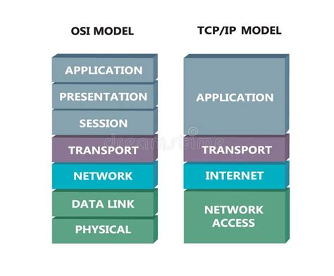 Tcp Model Stock Illustrations 64 Tcp Model Stock Illustrations