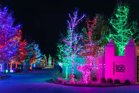 Get a Taste of ChristmasTime at the Ark Encounter with These 15 Photos ...