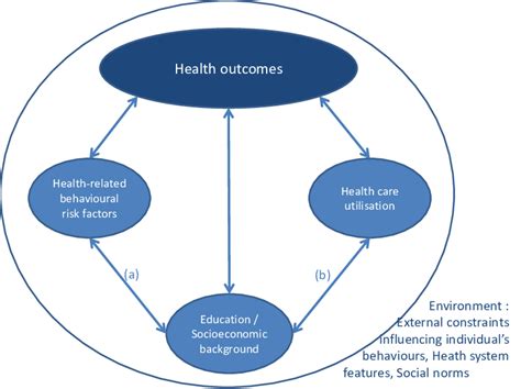 Determinants Of Social Inequalities In Health Download Scientific Diagram