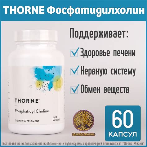 Thorne Research Phosphatidyl Choline, Фосфатидилхолин, 60 капсул купить ...