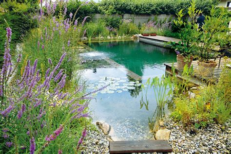 Zwemvijver De Natuurtuin Tuinontwerp Tuinaanleg