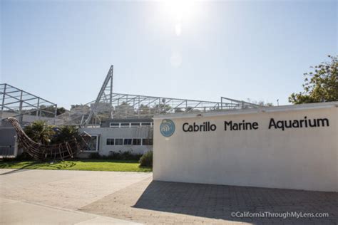 Cabrillo Aquarium in San Pedro | California Through My Lens