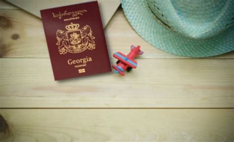 requirements  obtaining  georgia visa  egypt citizens