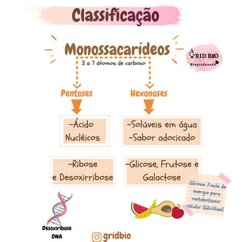 Monossacarídeos Podem Ser Quebrados: - Marque A Alternativa Que Contém Apenas Monossacarídeos - FDPLEARN