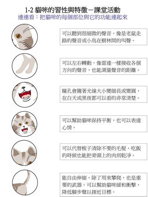 Ppt 1 2 貓咪的習性與特徵－課堂活動 認識貓咪：指出貓咪的各個部位 Powerpoint Presentation Id4337767