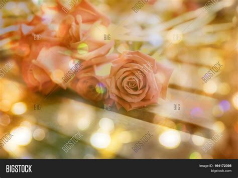 Abstract Roses Bokeh Image And Photo Free Trial Bigstock