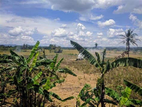 View Of A Java Countryside Indonesia Stock Image Image Of Tropical