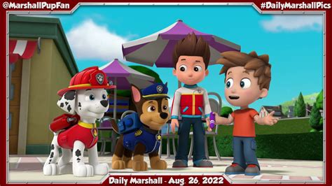 Marshall Pup Fanatic On Twitter Daily Marshall August 26 2022