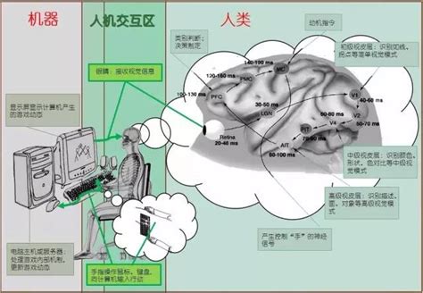 脑科学与人工智能的结合：生物神经网络与人工神经网络