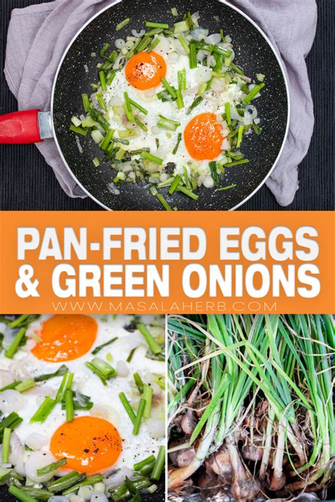 10 Min Pan-Fried Eggs with Green Onions