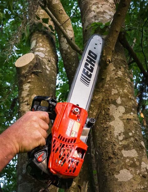 Echo Cs T Chainsaw Review The Lightest Gas Chainsaw