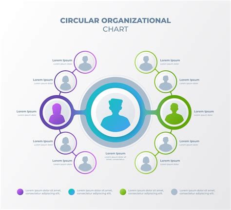 Circular Organizational Chart - images, stock photos and vectors