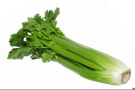 Cartoon Celery Stalk Jokes Funny Cartoon Celery Humor Cartoons