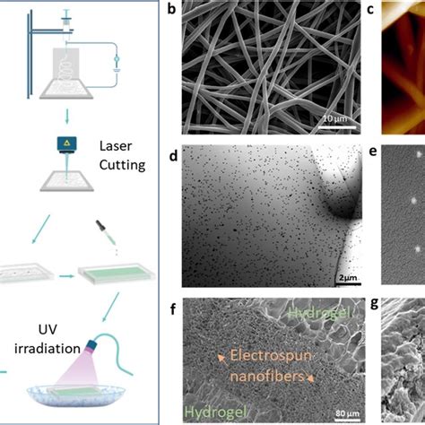 Characterization Of The Electrospun Nanofibers And Nanostructured