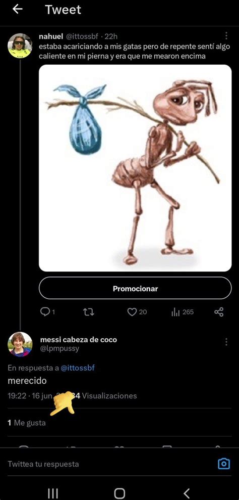 nahuel on Twitter recién me di cuenta de esto increíble el nivel de