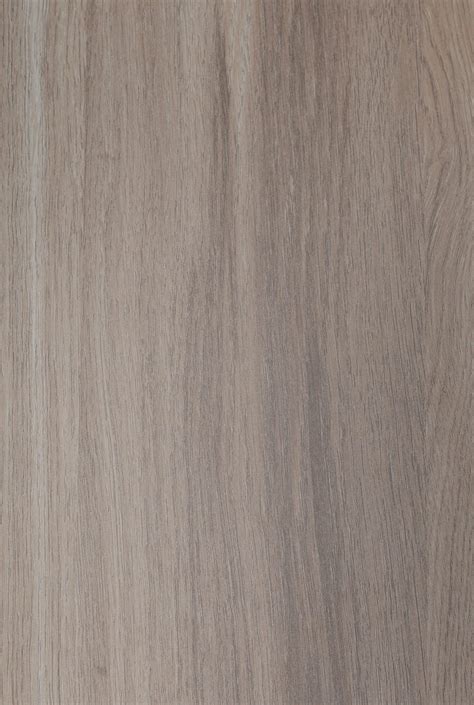 Silver Oak – Emilam