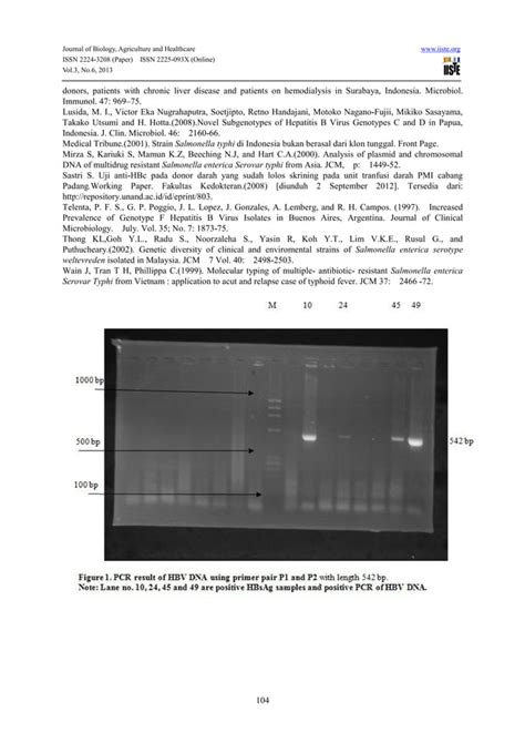 Detection Of Hepatitis B Virus Dna Among Abdominal Typhus Patients With