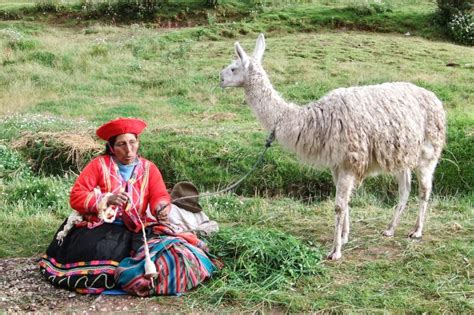 Weaving Techniques and Significance of Inca Textiles - 2024