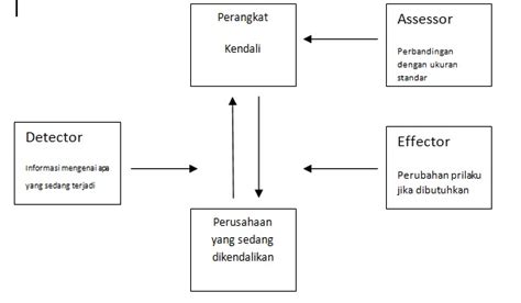 Sistem Pengendalian Manajemen Pada Umkm Delinewstv