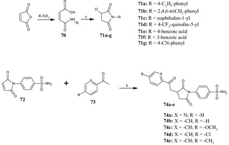 General Synthesis Of Pyrrolidine Diones A G And A E Reagents