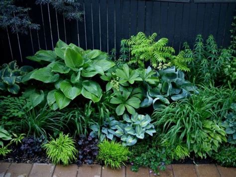 Shady Gardens Design Ideas To Refresh Your Home Air Garden