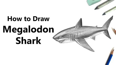 How To Draw A Megalodon With Pencils Time Lapse Youtube