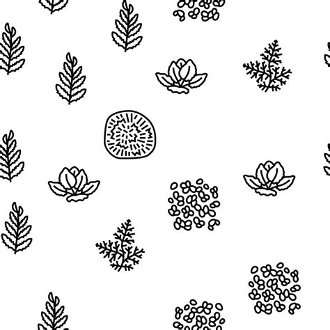 Aquatic Seaweed Natural Plant Vector Seamless Pattern Vector