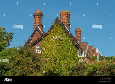 Ivy Covered House Orford Suffolk England Stock Photo Alamy