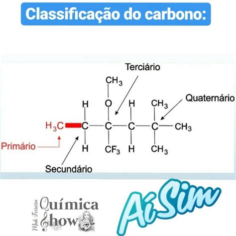 The Diagram Shows Different Types Of Carbons And Their Names As Well