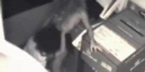 Lesbian Co Workers Tnaflix