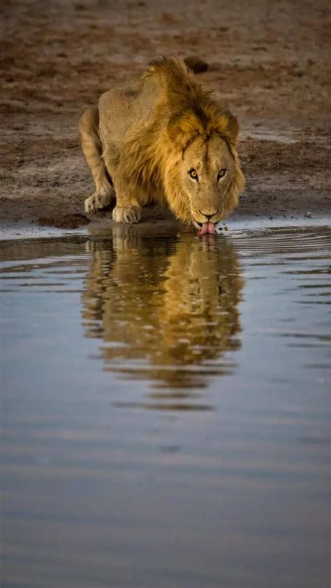 Celebs Whose Leaked Sex Tapes Made Them Famous