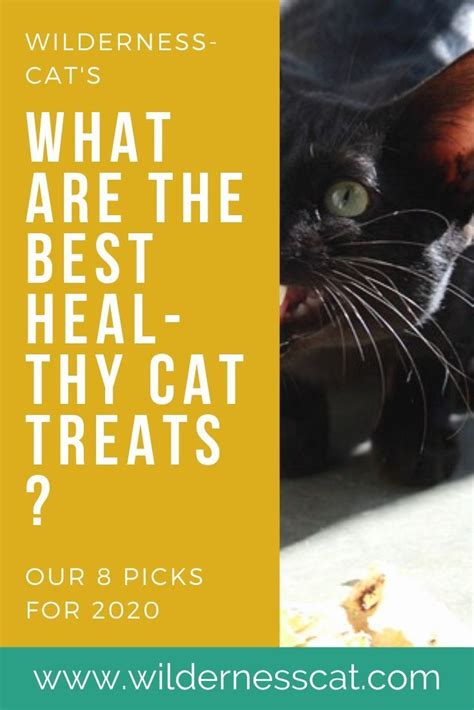 8 Best Healthy Cat Treats Our Favorite Cat Treats Of 2020 Healthy